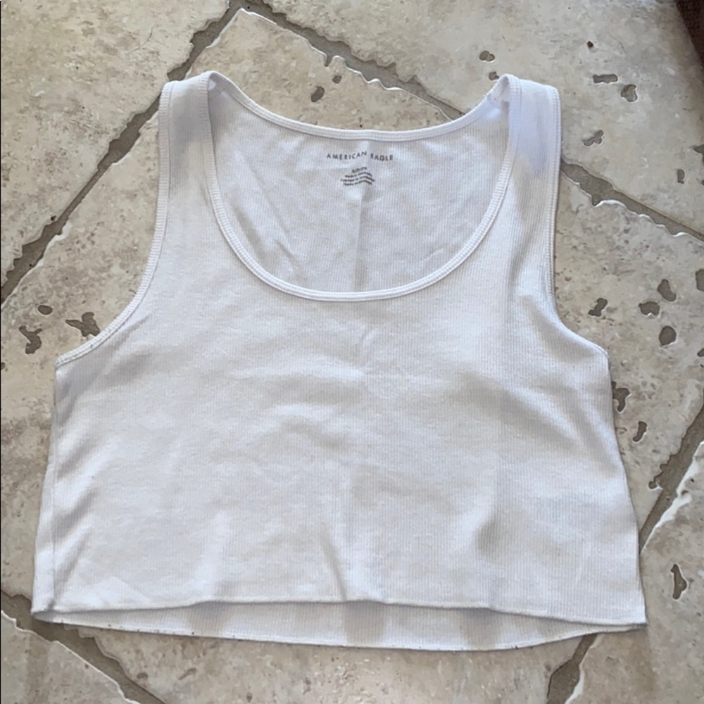 American Eagle Wide Strapped Crop Tank
